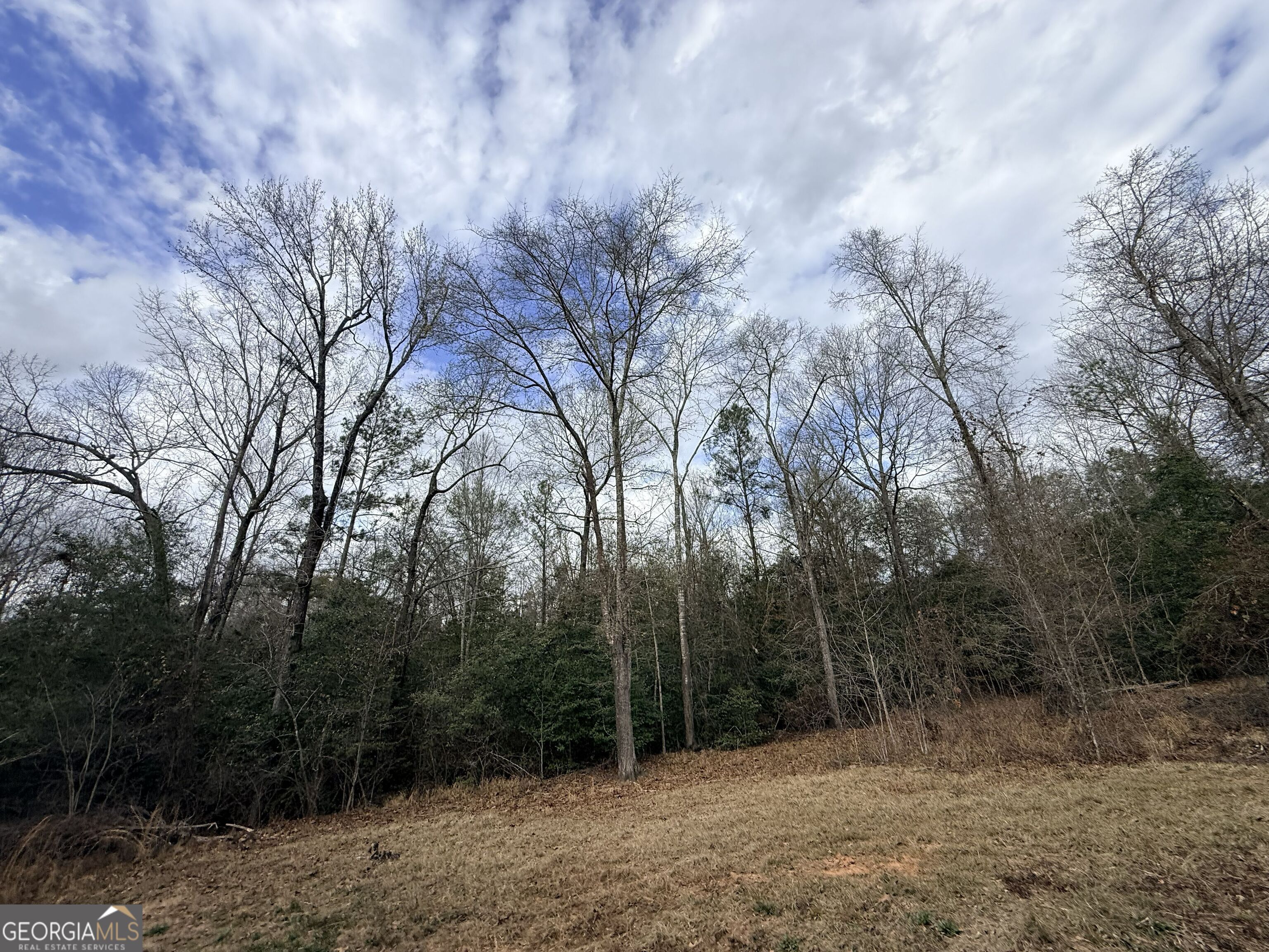 301 Beaver Dam Road Toomsboro, GA 31090 - Photo 89 of 99