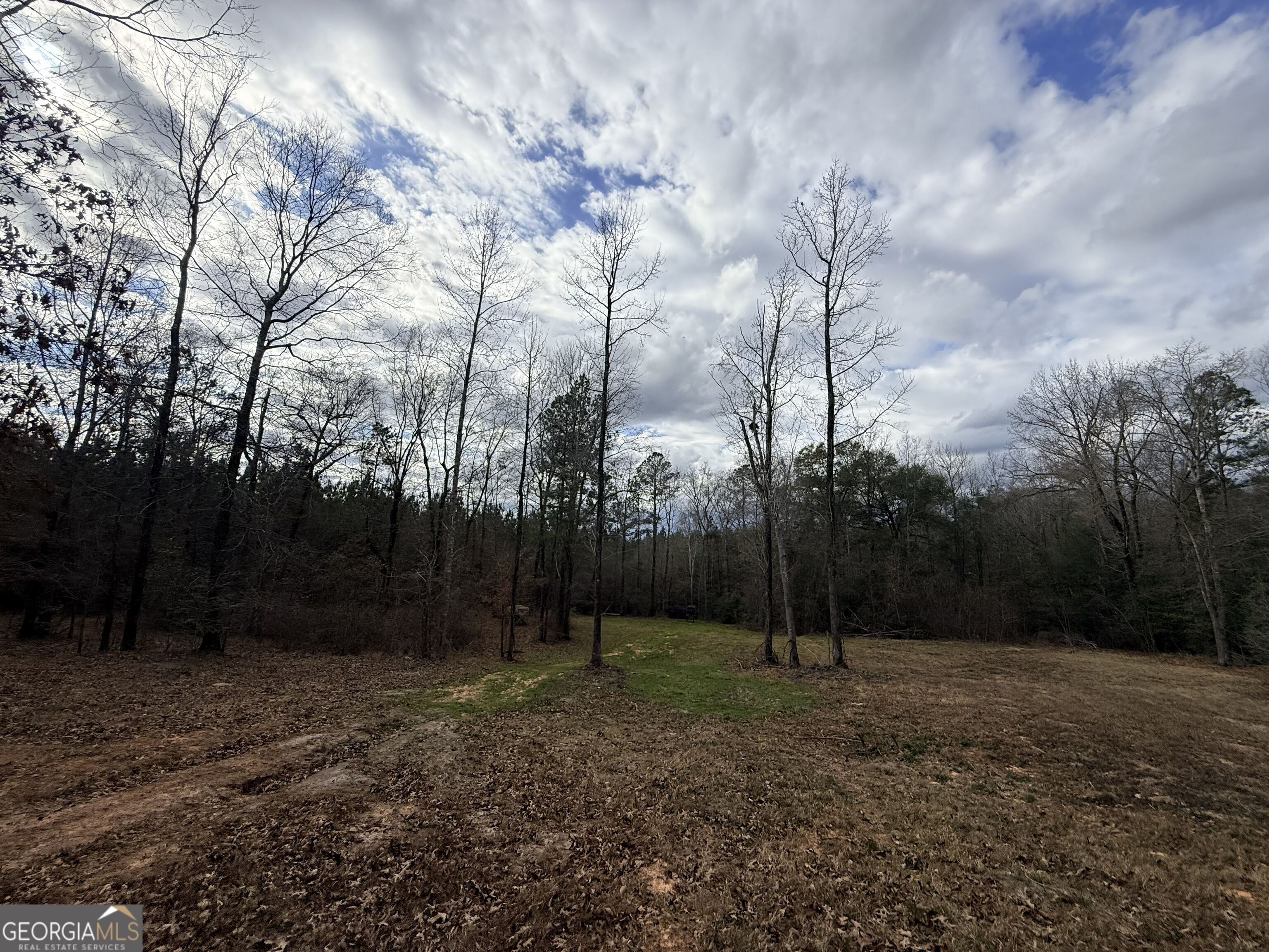 301 Beaver Dam Road Toomsboro, GA 31090 - Photo 91 of 99 a backyard of a house with lots of green space
