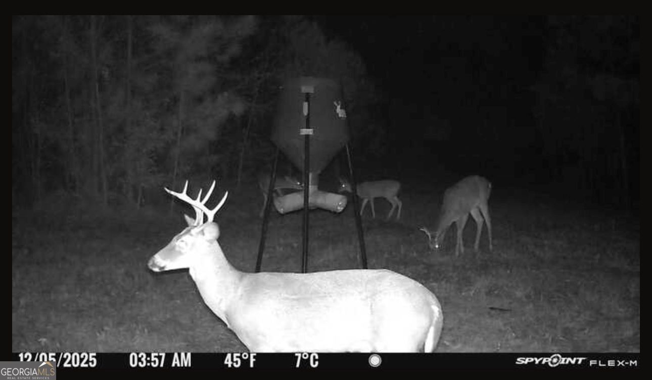 301 Beaver Dam Road Toomsboro, GA 31090 - Photo 92 of 99