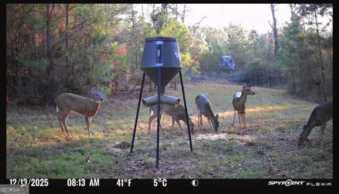 301 Beaver Dam Road Toomsboro, GA 31090 - Photo 93 of 99