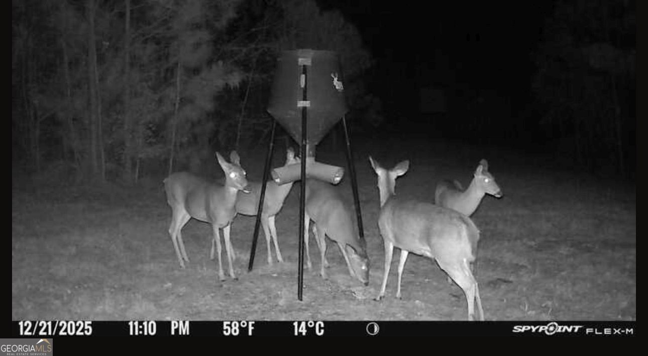 301 Beaver Dam Road Toomsboro, GA 31090 - Photo 94 of 99