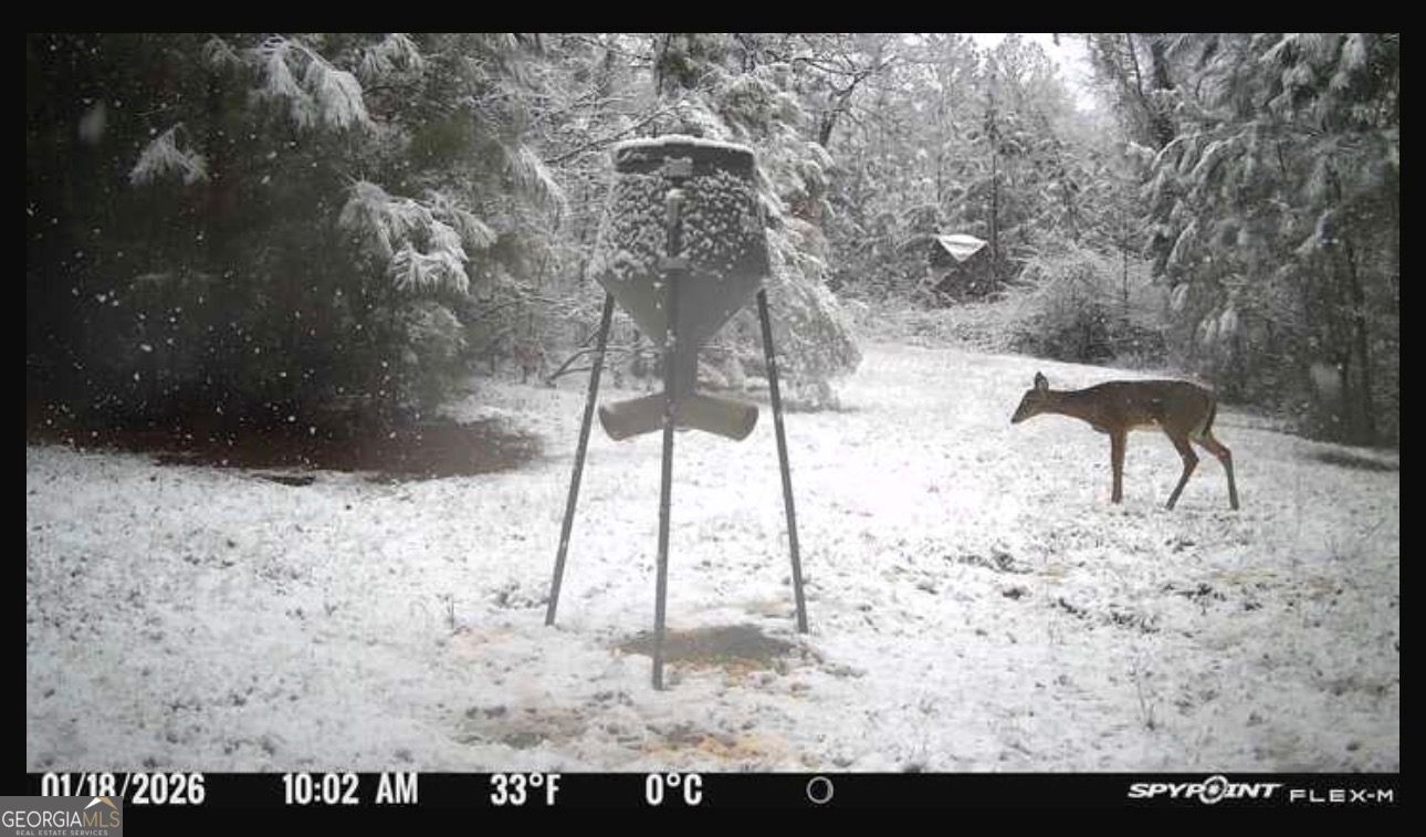 301 Beaver Dam Road Toomsboro, GA 31090 - Photo 96 of 99 a view of yard with wooden fence