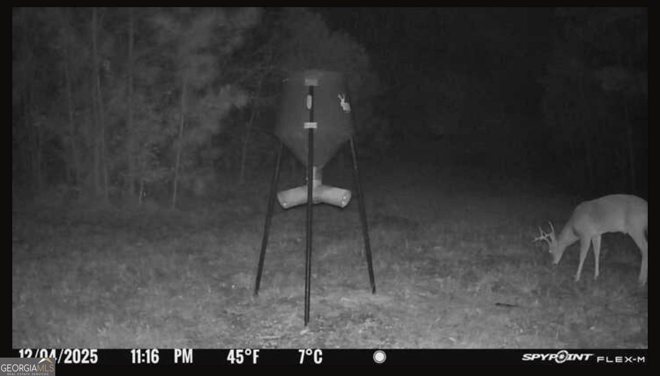 301 Beaver Dam Road Toomsboro, GA 31090 - Photo 97 of 99 a view of a room