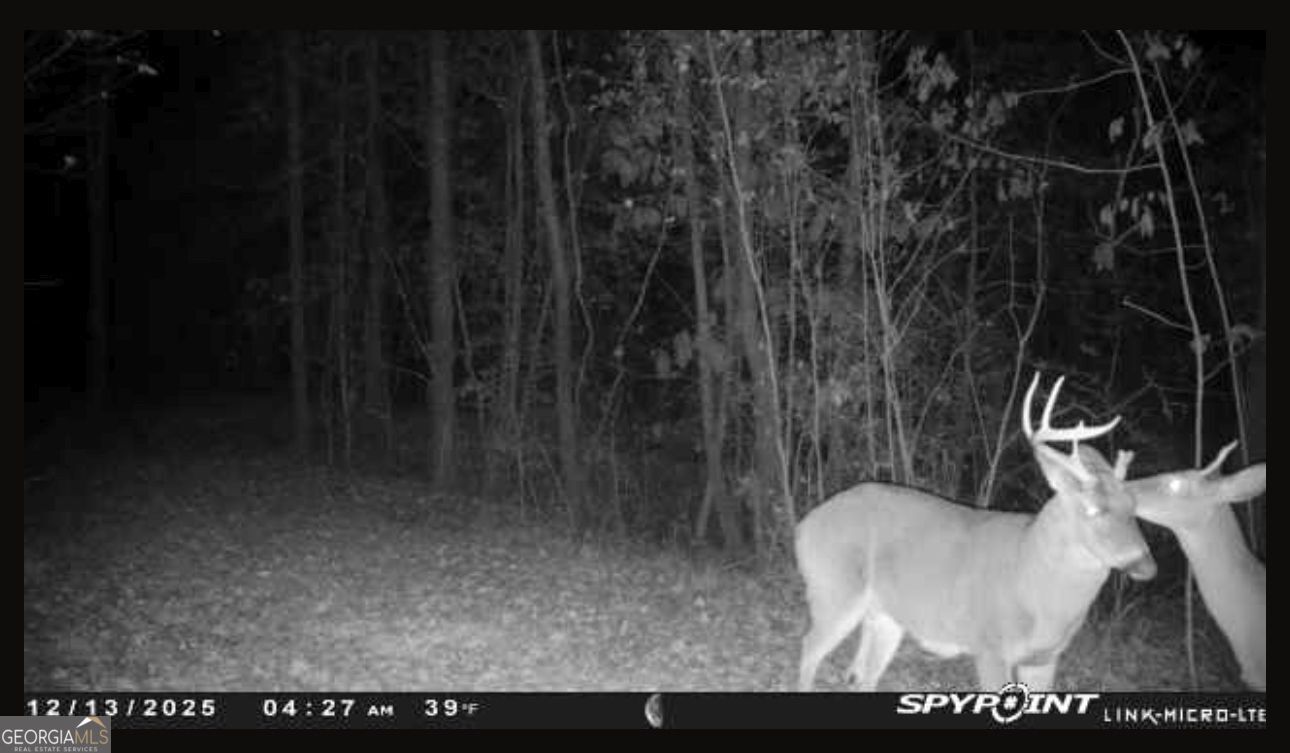 301 Beaver Dam Road Toomsboro, GA 31090 - Photo 98 of 99