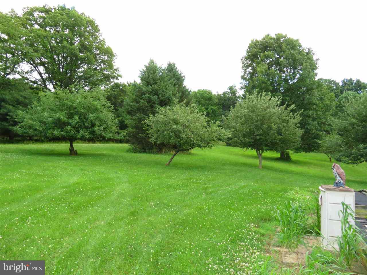45 Holtzapple Road Red Lion, PA 17356 - Photo 29 of 36 Gallery Image 29