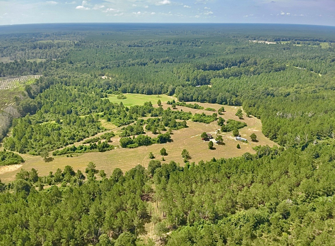 81363 George Sanner Rd Village Mills Village Mills, TX 77663 - Photo 12 of 43