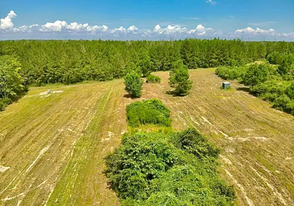 a view of an outdoor space and a yard