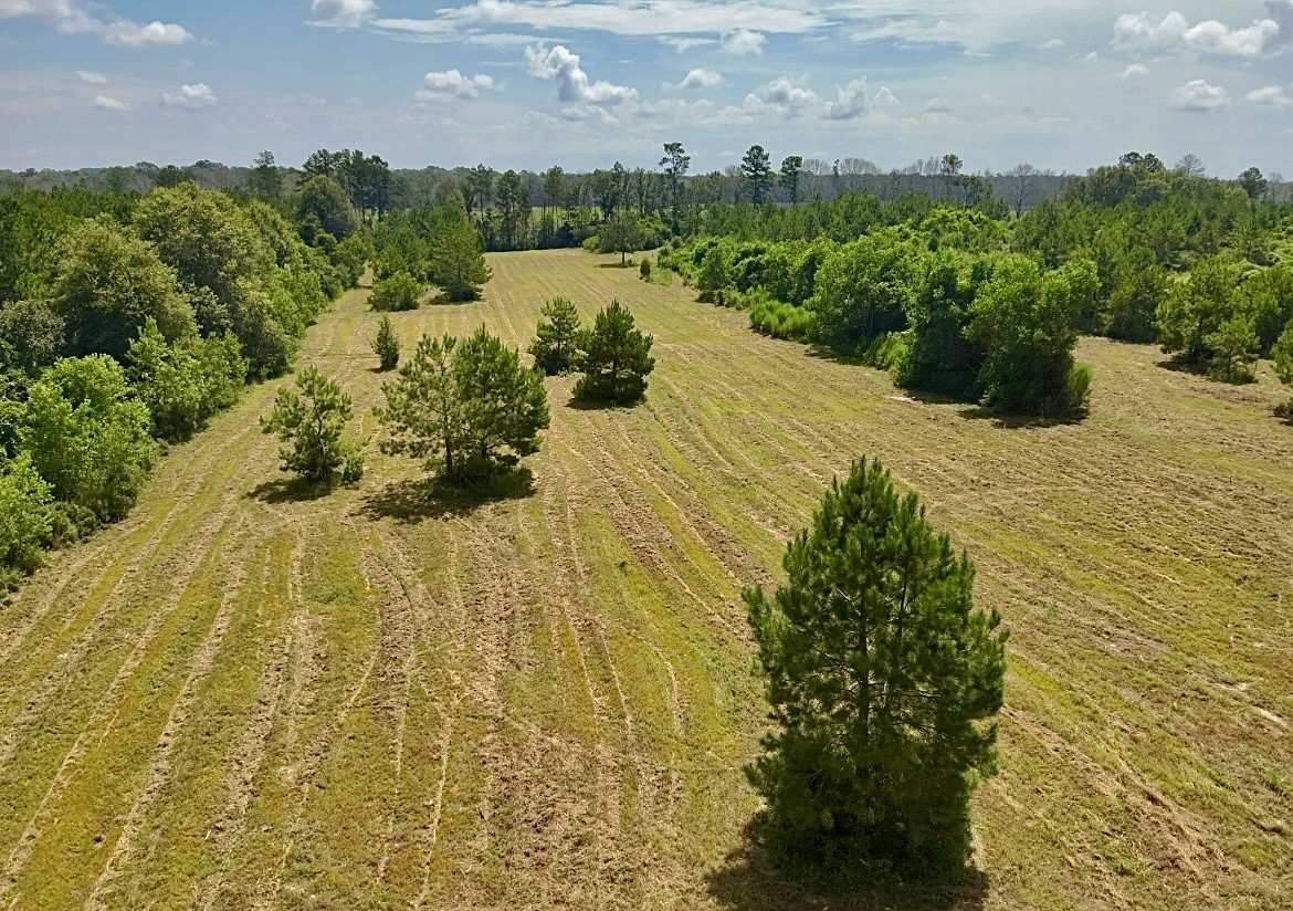 81363 George Sanner Rd Village Mills Village Mills, TX 77663 - Photo 15 of 43