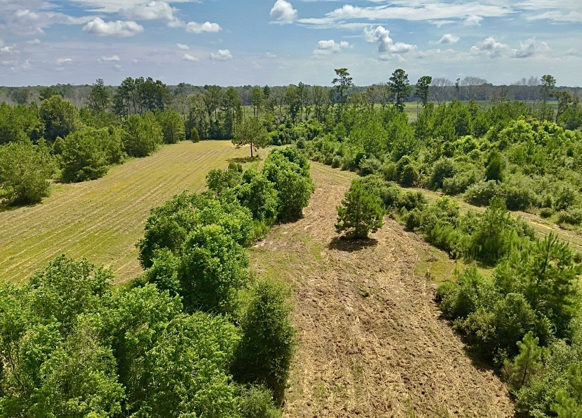 81363 George Sanner Rd Village Mills Village Mills, TX 77663 - Photo 16 of 43