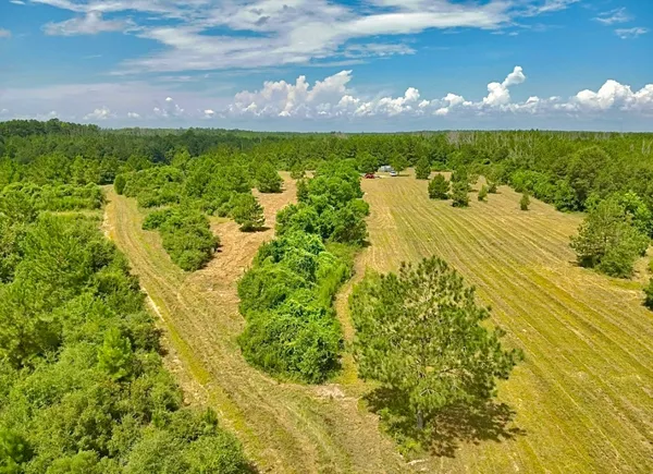 an aerial view of a house with a yard and lake view