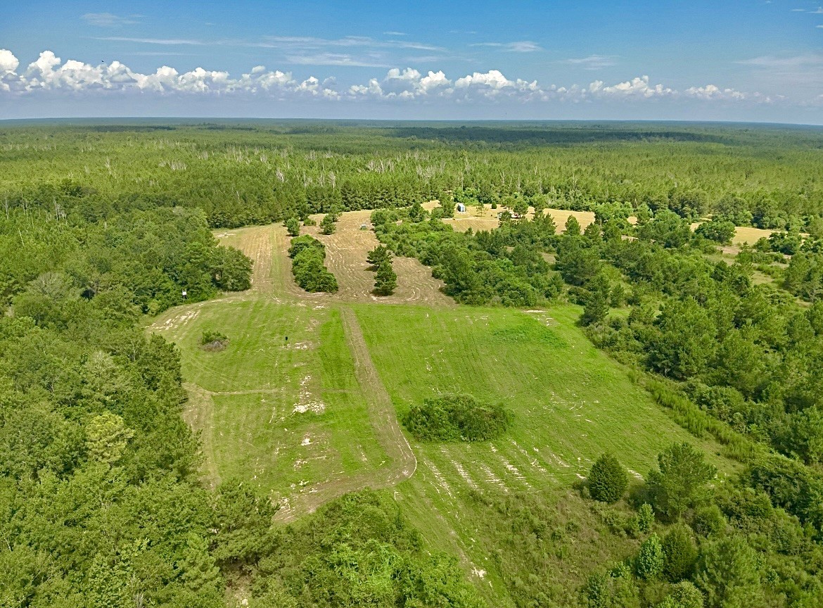 81363 George Sanner Rd Village Mills Village Mills, TX 77663 - Photo 2 of 43