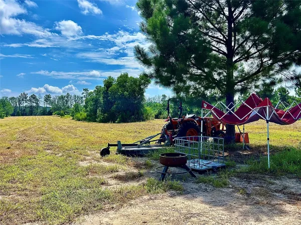 a view of a backyard with plants