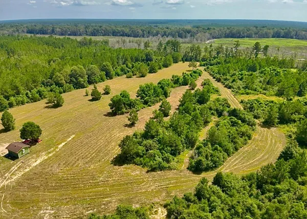 a view of a lake with a mountain