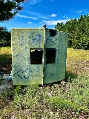 a view of a with large trees