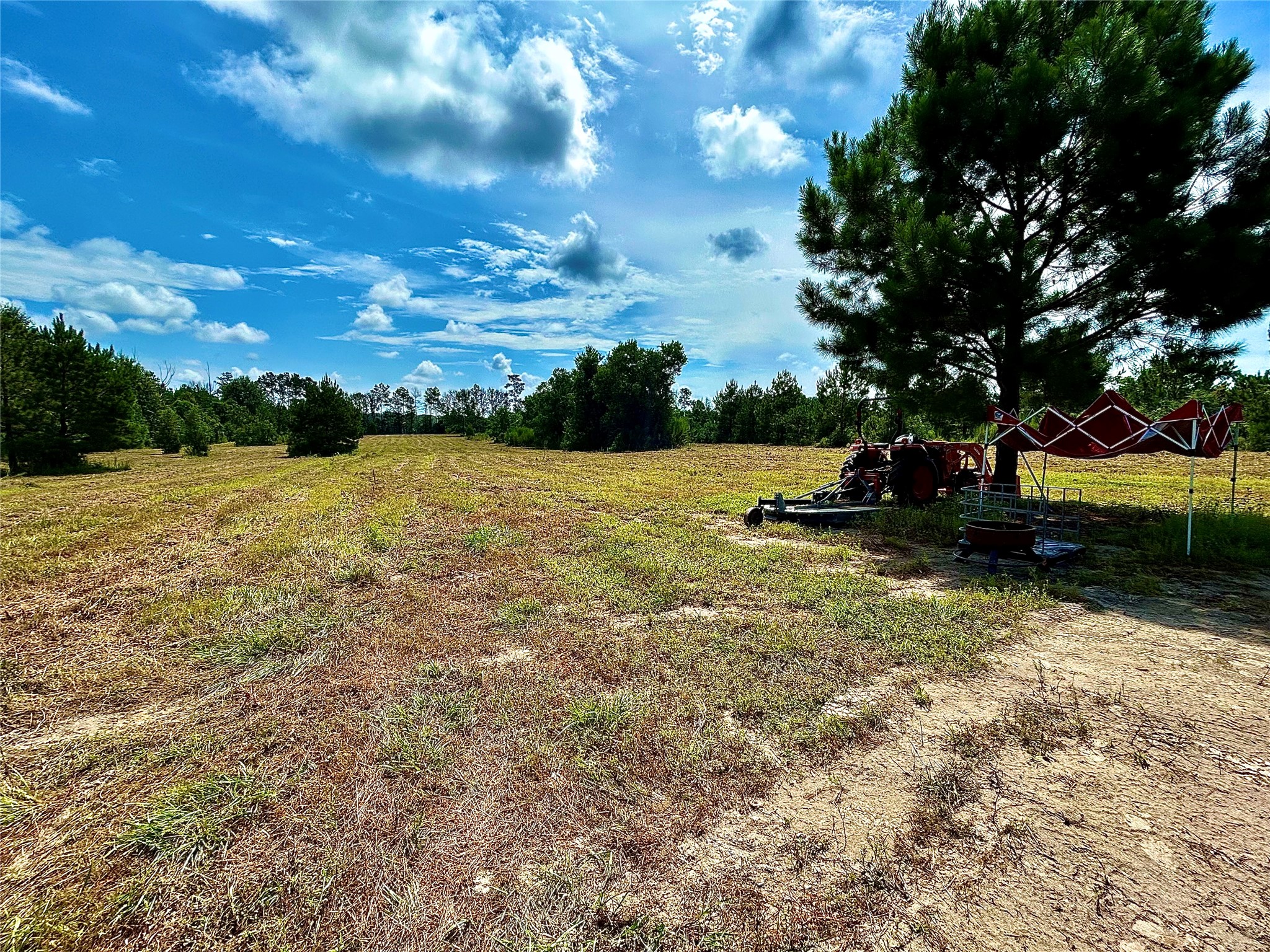81363 George Sanner Rd Village Mills Village Mills, TX 77663 - Photo 32 of 43