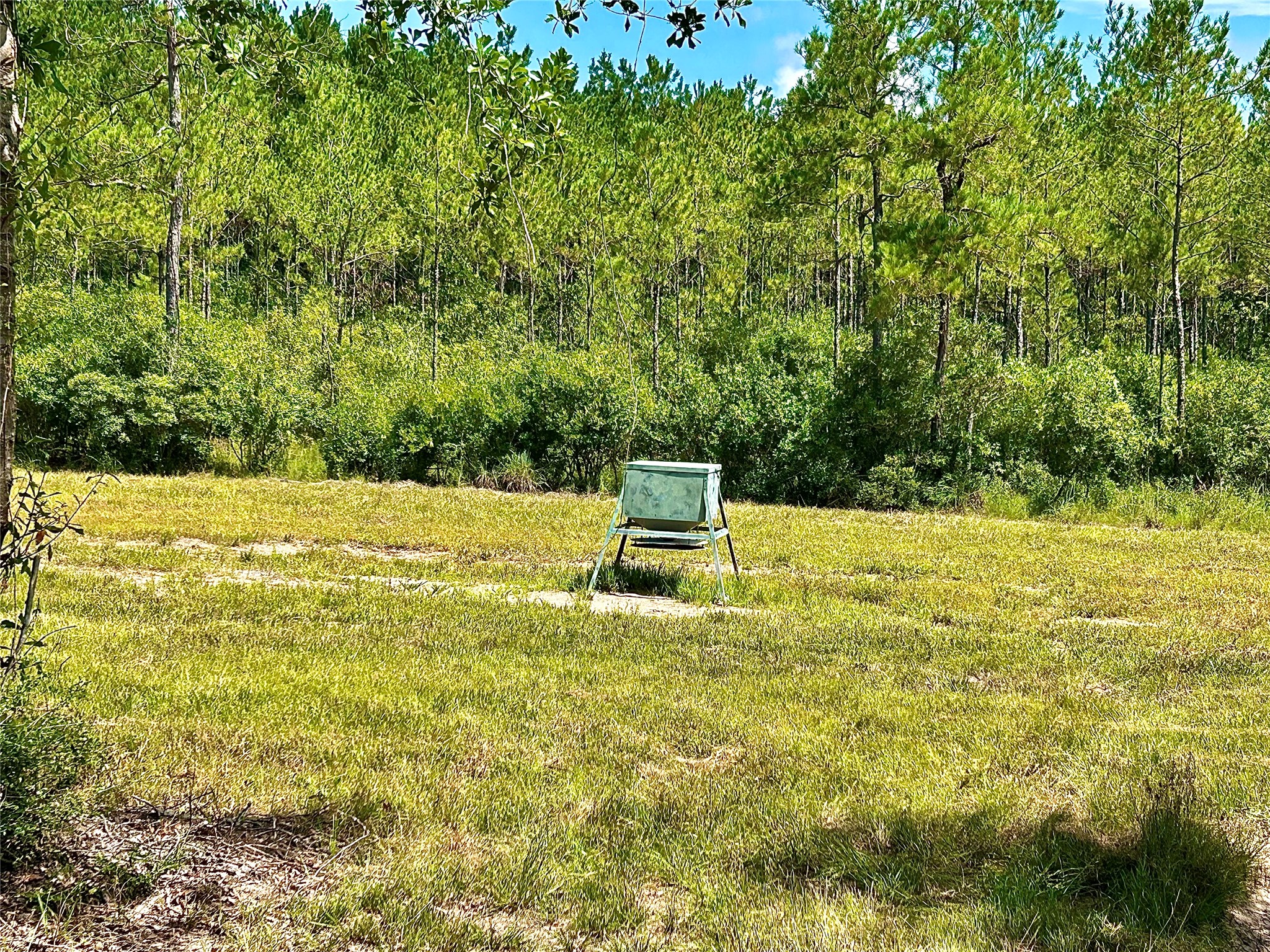81363 George Sanner Rd Village Mills Village Mills, TX 77663 - Photo 33 of 43