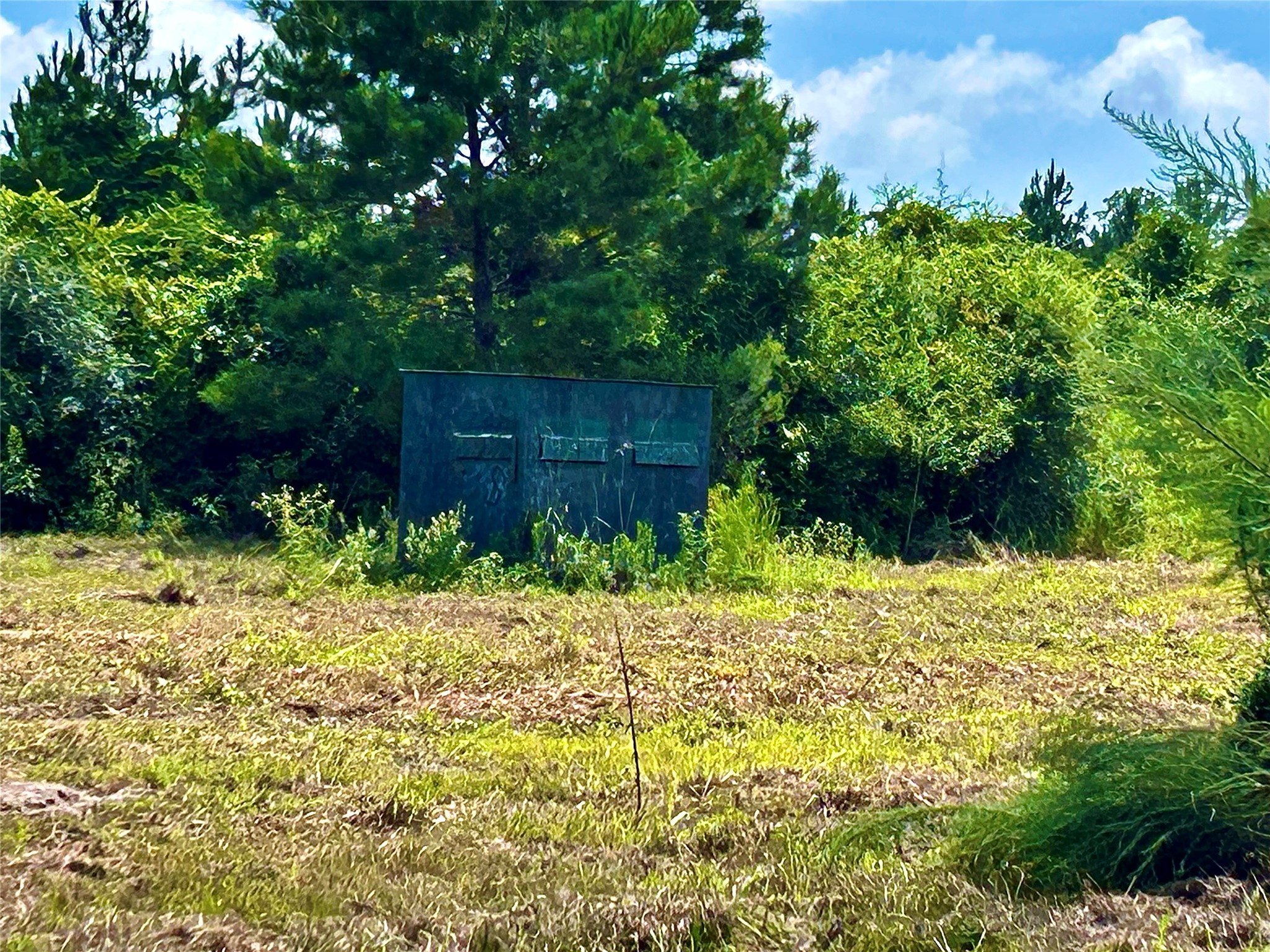 81363 George Sanner Rd Village Mills Village Mills, TX 77663 - Photo 38 of 43