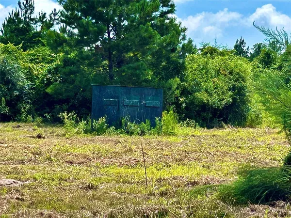 a view of a big yard with large trees