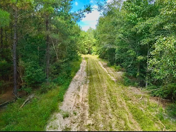 a view of a garden with a lake