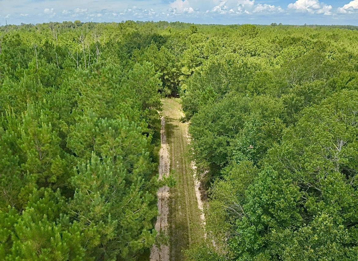 81363 George Sanner Rd Village Mills Village Mills, TX 77663 - Photo 42 of 43