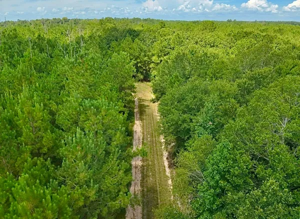 $379,000 | 81363 George Sanner Rd Village Mills, Village Mills, TX 77663