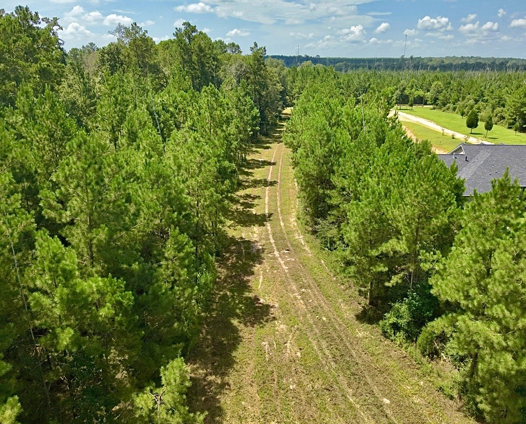 81363 George Sanner Rd Village Mills Village Mills, TX 77663 - Photo 43 of 43