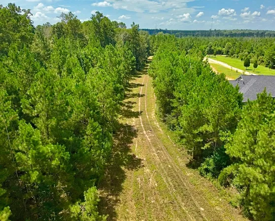 $379,000 | 81363 George Sanner Rd Village Mills, Village Mills, TX 77663