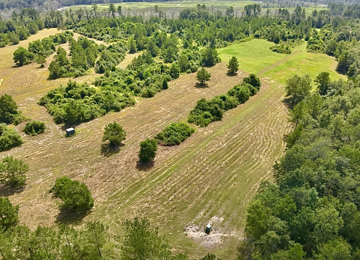 81363 George Sanner Rd Village Mills Village Mills, TX 77663 - Photo 5 of 43