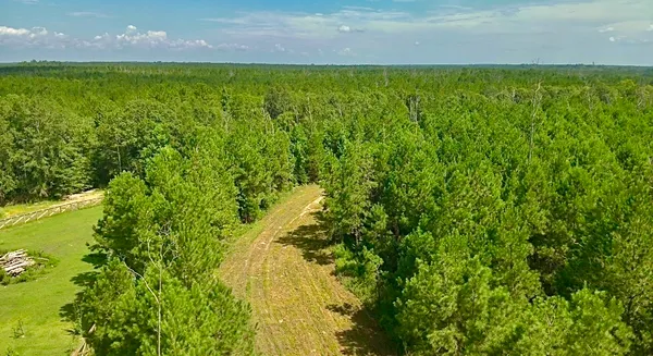 a view of a city from a yard