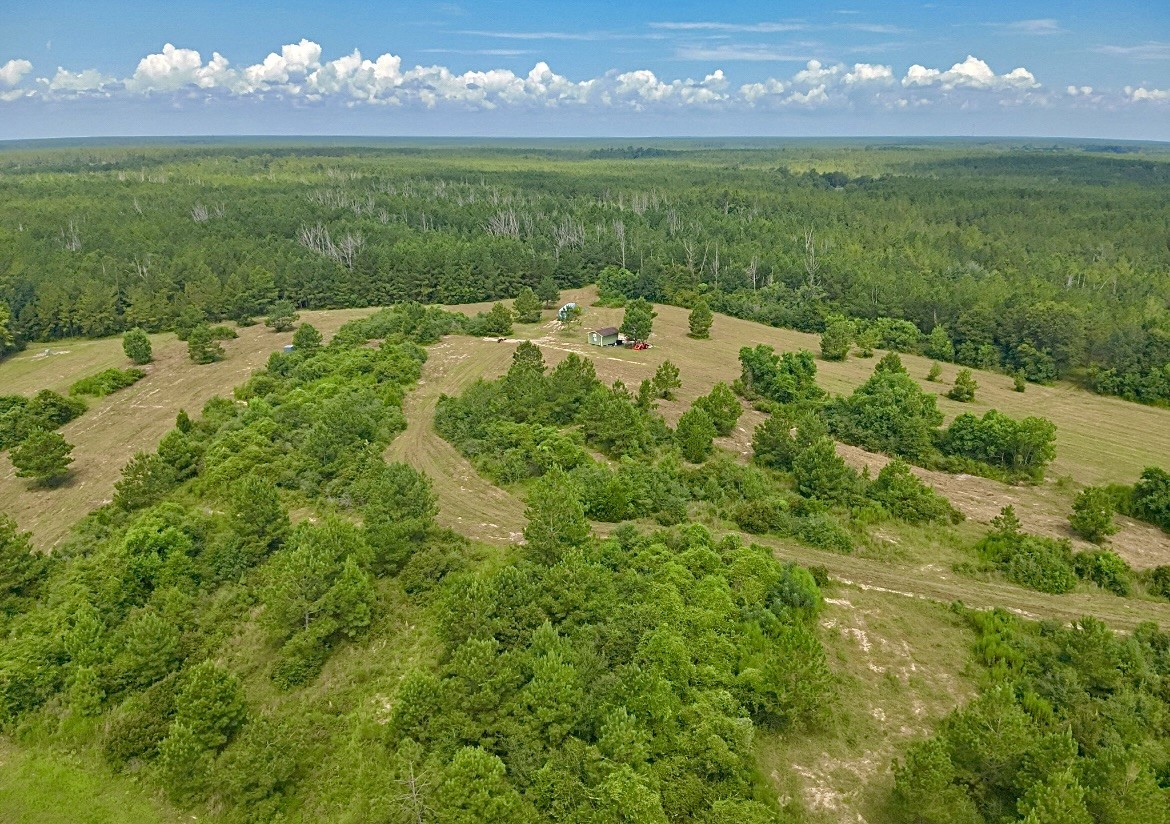 81363 George Sanner Rd Village Mills Village Mills, TX 77663 - Photo 7 of 43