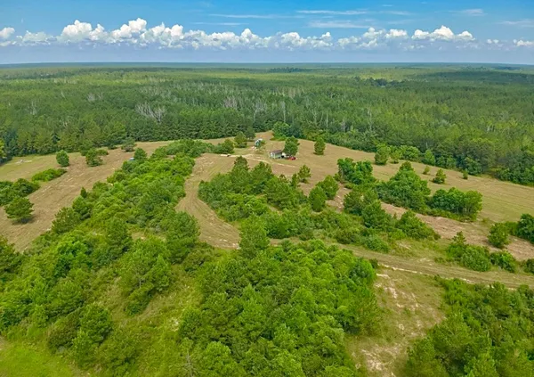 a view of a garden with a lake view