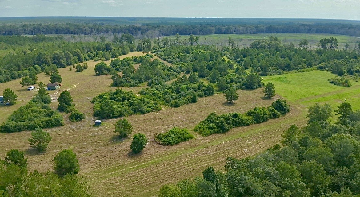 81363 George Sanner Rd Village Mills Village Mills, TX 77663 - Photo 8 of 43