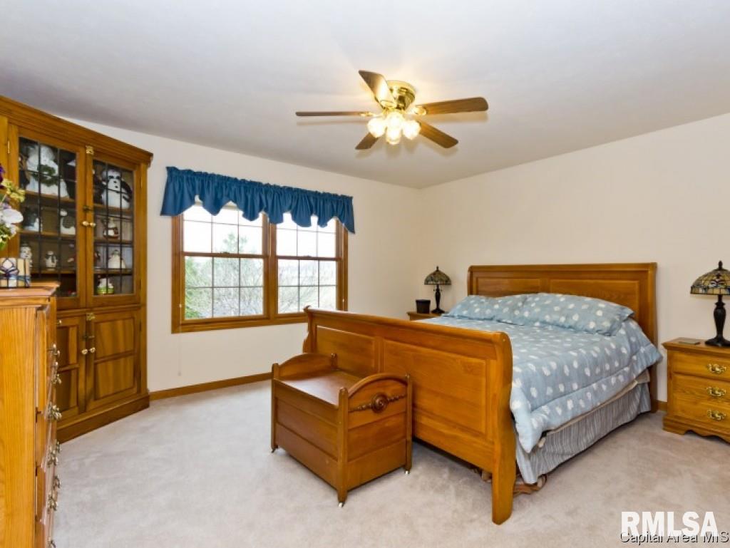 227 Huntington Road Chatham, IL 62629 - Photo 25 of 36 Gallery Image 25