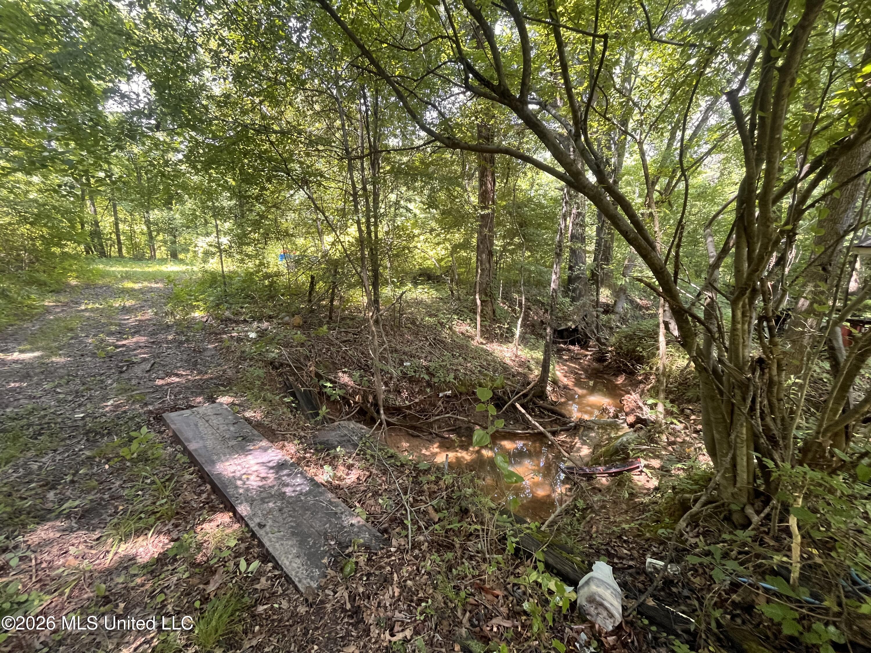 53 Lenzi Road Byhalia, MS 38611 - Photo 16 of 17 IMG_5839 (1)