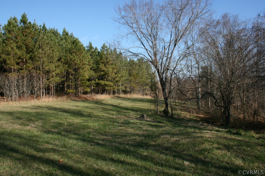 1970 Turkey Island Road Crewe, VA 23930 - Photo 6 of 15 a view of outdoor space with trees all around