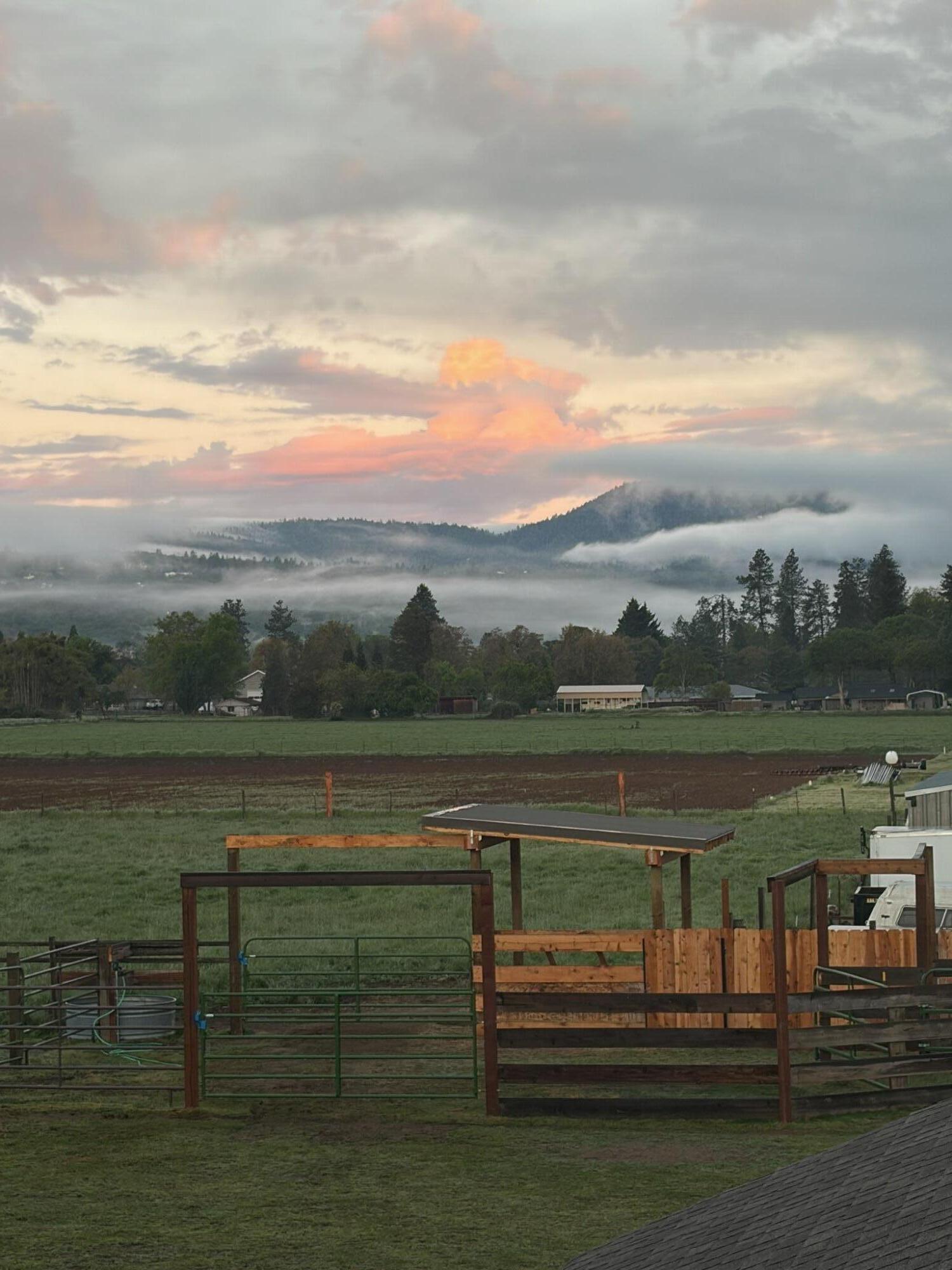 826 Oak Grove Road Medford, OR 97501 - Photo 43 of 69 Misty Mountains