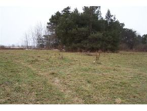 313 Pendell Hill Road Whitney Point, NY 13862 - Photo 3 of 6 Gallery Image 3