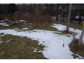 313 Pendell Hill Road Whitney Point, NY 13862 - Photo 4 of 6 Gallery Image 4