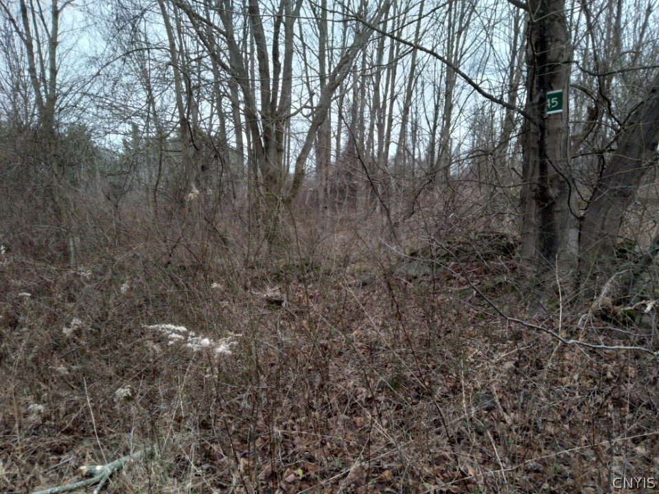 Lot 45 Irwin Road Sterling, NY 13156 - Photo 1 of 1 Gallery Image 1