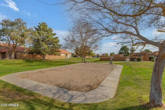 a view of a yard with large trees