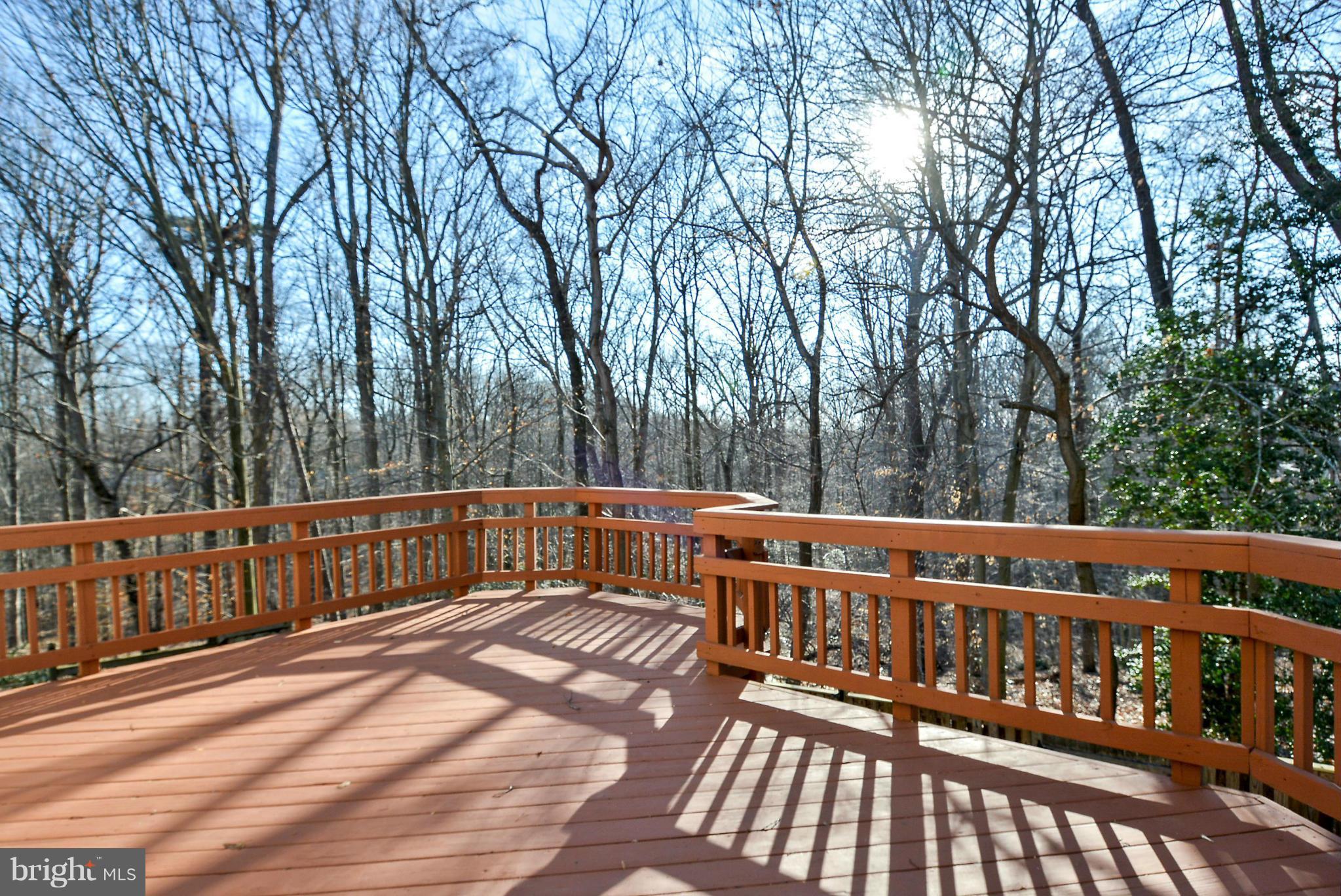 7306 Spring View Court Springfield, VA 22153 - Photo 27 of 30 Exterior (Rear)