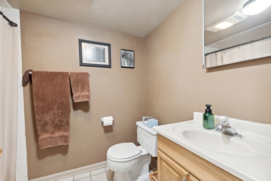 1220 South Fairview Avenue Park Ridge, IL 60068 - Photo 12 of 19 a bathroom with a sink a toilet and a mirror