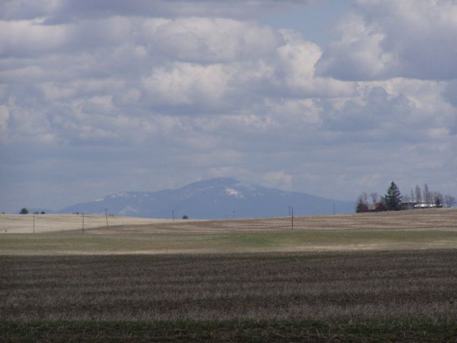 0 North Oehlschlaeger Road, Unit LOT 2 OF 8 Reardan, WA 99029 - Photo 5 of 8 Gallery Image 5