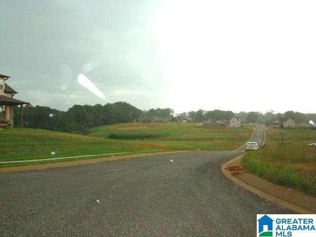 0 Bella Ridge, Unit 111 Lincoln, AL 35096 - Photo 6 of 12