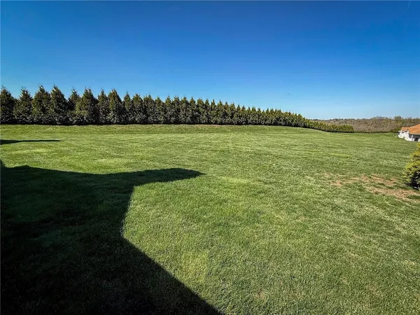 a view of a lake from a yard