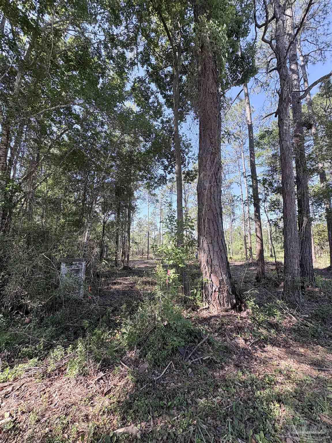 Del Monte Street Milton, FL 32583 - Photo 5 of 18
