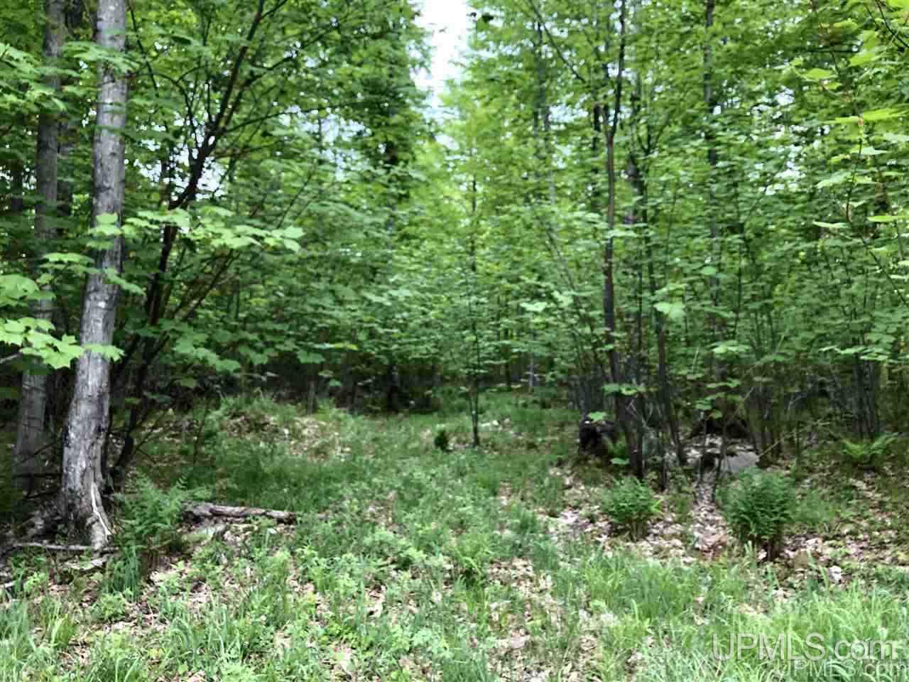 Tbd Will Pryor Road Big Bay, MI 49808 - Photo 10 of 18
