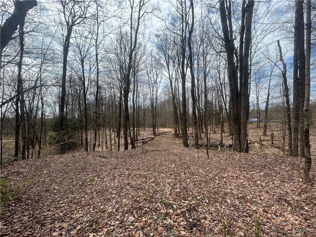 North Hillsborough Road Camden, NY 13316 - Photo 5 of 13
