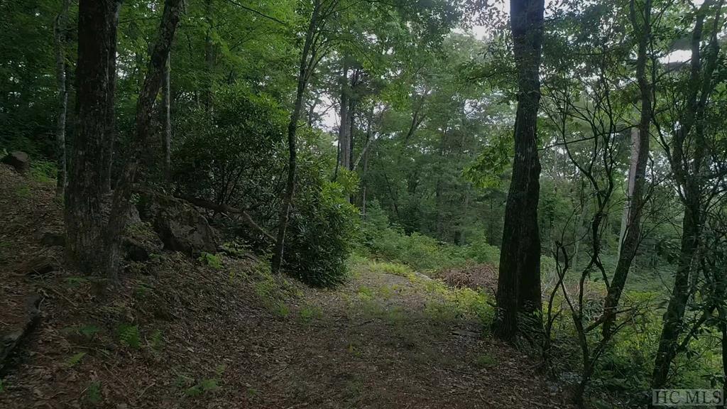 Tbd Cowee Ridge Road Highlands, NC 28741 - Photo 6 of 11 Gallery Image 6