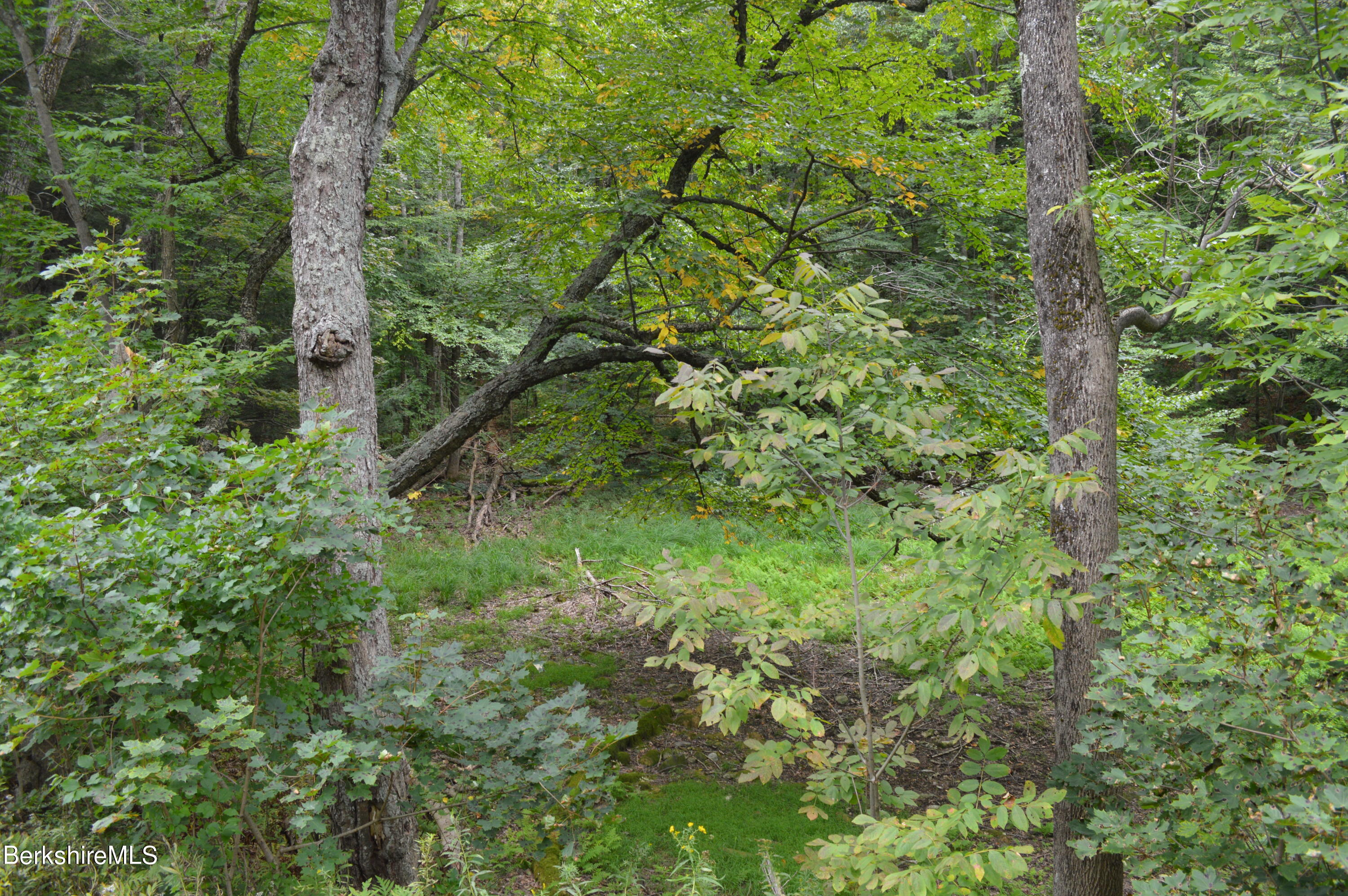 Lot 404-19 Jacobs Ladder Road Becket, MA 01223 - Photo 1 of 6 8.5 Acres
